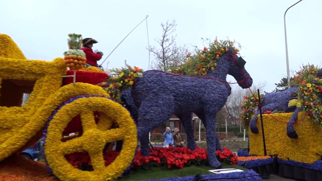 Голландия 2015 Парад цветов