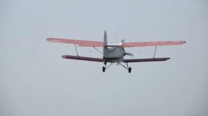 Легендарный самолёт Ан-2: демонстрационный полёт на малой высоте.