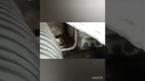 Стучит втулка стабилизатора Меган 2. Временное смягчение стука.