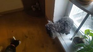 Как положено друзьям