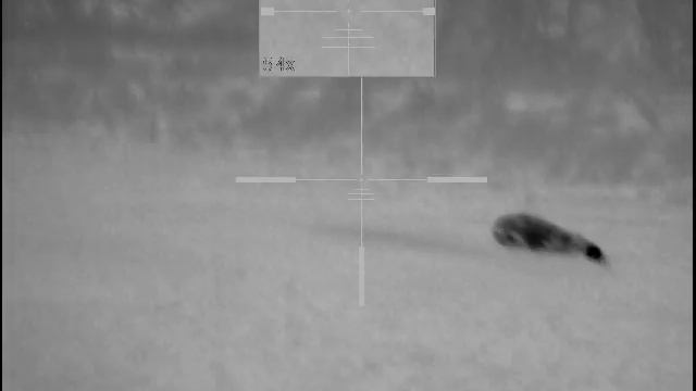 Охота на кабана смотреть онлайн