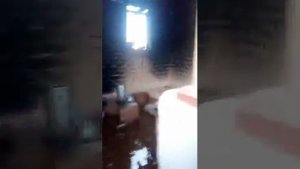 затопление юг  таджикистана 2018 пяндж