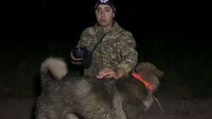 Отдых на охоте, пьем чай. Охота на барсука