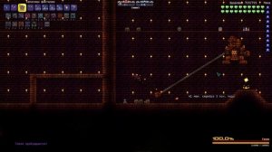 Terraria Calamity Mod #9