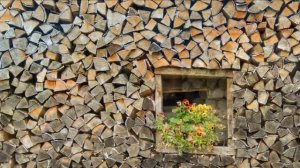 Заготовка и продажа дров как бизнес идея