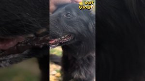 Удивительное заболевание. Миастения гравис.