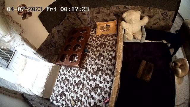 Щенки Лабрадора / ПРОДАЮТСЯ / НОВОСИБИРСК/ SHATSKIKH`S DOGS / 8-962-831-94-91/ Labrador puppies sal смотреть онлайн