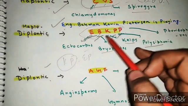 TRICKS OF PLANT KINGDOM  DIAGRAMS TRICKS  NCERT BASED NEET 2020