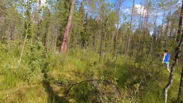 ЗАГОТОВКА БАННЫХ ВЕНИКОВ. ДЛЯ БАНИ ВЕНИКИ БЕРЁЗОВЫЕ. ЗАГОТОВКИ НА ЗИМУ. ОНА ВЯЖЕТ ИХ САМА. смотреть онлайн