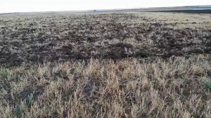 Трактор КИРОВЕЦ. Зябь 2018.