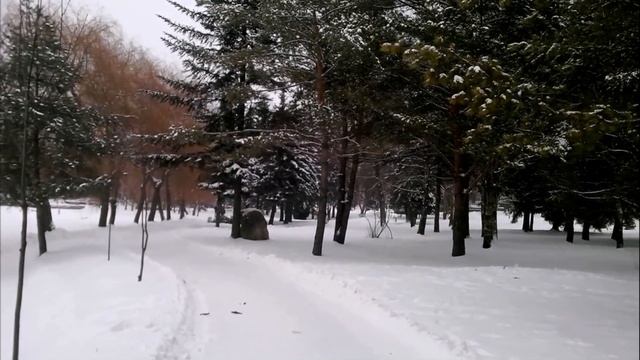 ЗИМНЯЯ СКАЗКА ВИДЕОЗАРИСОВКА ПОД МУЗЫКУ ВАДИМА ГУРЬЕВА