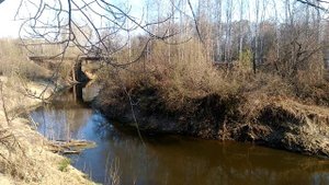 Запели соловьи весна пришла