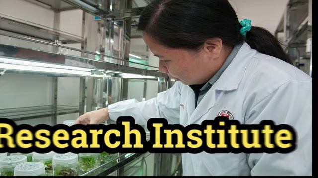 Agronomy Jobs career I agronomy for sustainable development I agronomist career Imsc agronomy scope