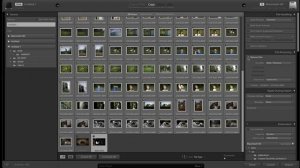 Importing Photos From Camera to Lightroom for Beginners