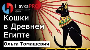 Кошки в Древнем Египте – Ольга Томашевич | Лекции по египтологии