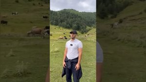 ВОЛКИ НАПАЛИ НА ДЕТЕЙ