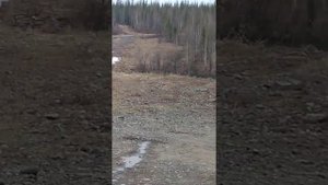 Красноярский край поселок Снежногорск