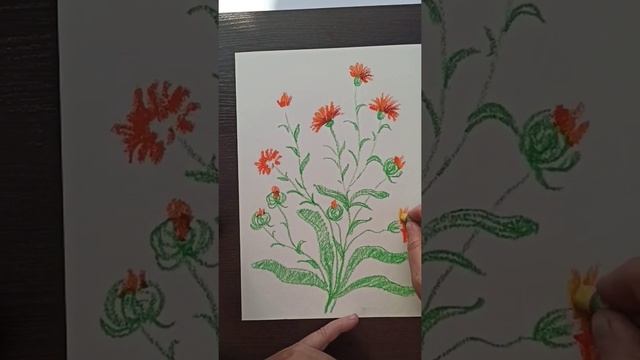 Как нарисовать цветы - Ноготки, простой видео-урок для взрослых и детей.