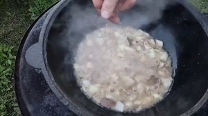 Маслята с картофелем тушёные в сметане на костре в казане