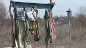 Заметки из провинции (вып. 25) Ниновка
