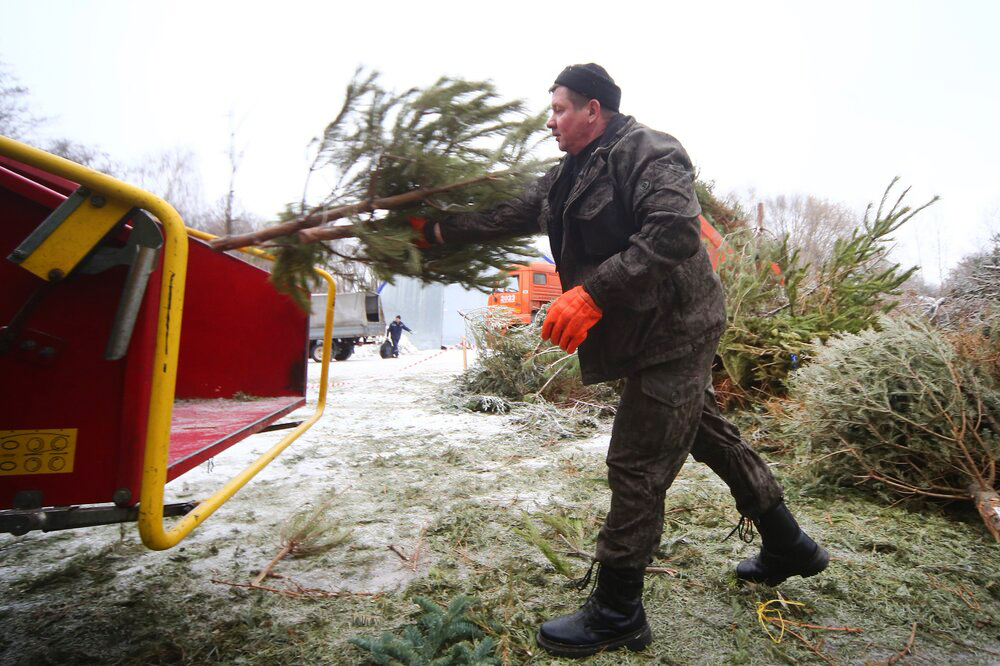 Москвичи в рамках акции "Елочный круговорот" сдали более 220 тысяч деревьев / Город новостей на ТВЦ