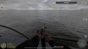 Russian Fishing 4 | Русская рыбалка 4, фарм моря, открыл ставки, другой фарм)