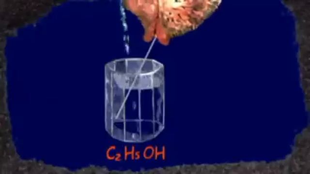 книга Ф. Севера "Синие байки" рис. Т. Скорлупкиной смотреть онлайн