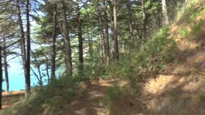 Одинокая Флейта. Аве Мария. Д. Каччини. Сказка 65