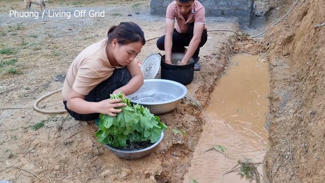 Harvest snails, bamboo shoots, broccoli, ginger in the cabin and bring to the market to sell | Ep.1 смотреть онлайн