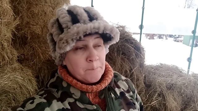 Мы готовились к переезду из города в деревню! Гнилое СЕНО!