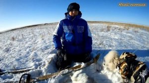 Тропление зайца с пуделем