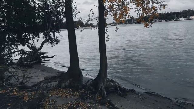 VID 20231002 182313 Я часто думал, скорбью утомленный...(Данте Алигьери)...Павел Васильев Лахтински смотреть онлайн