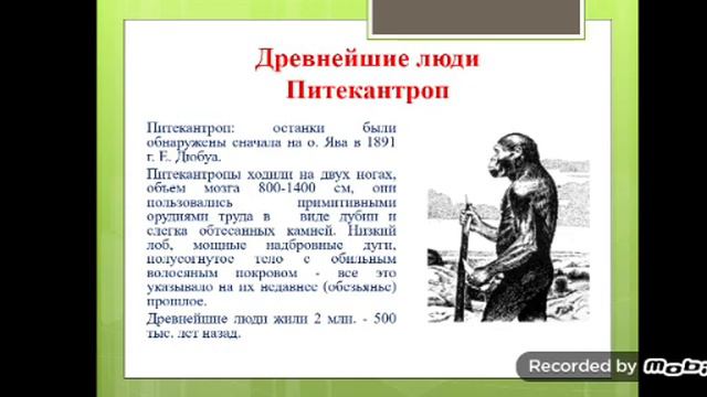 Теории происхождения человека