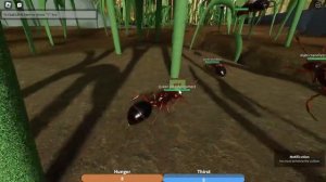 Ant life Multiple Queen Update! (Roblox)