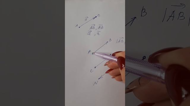 понятие вектора, абсолютная величина вектора, равенство векторов