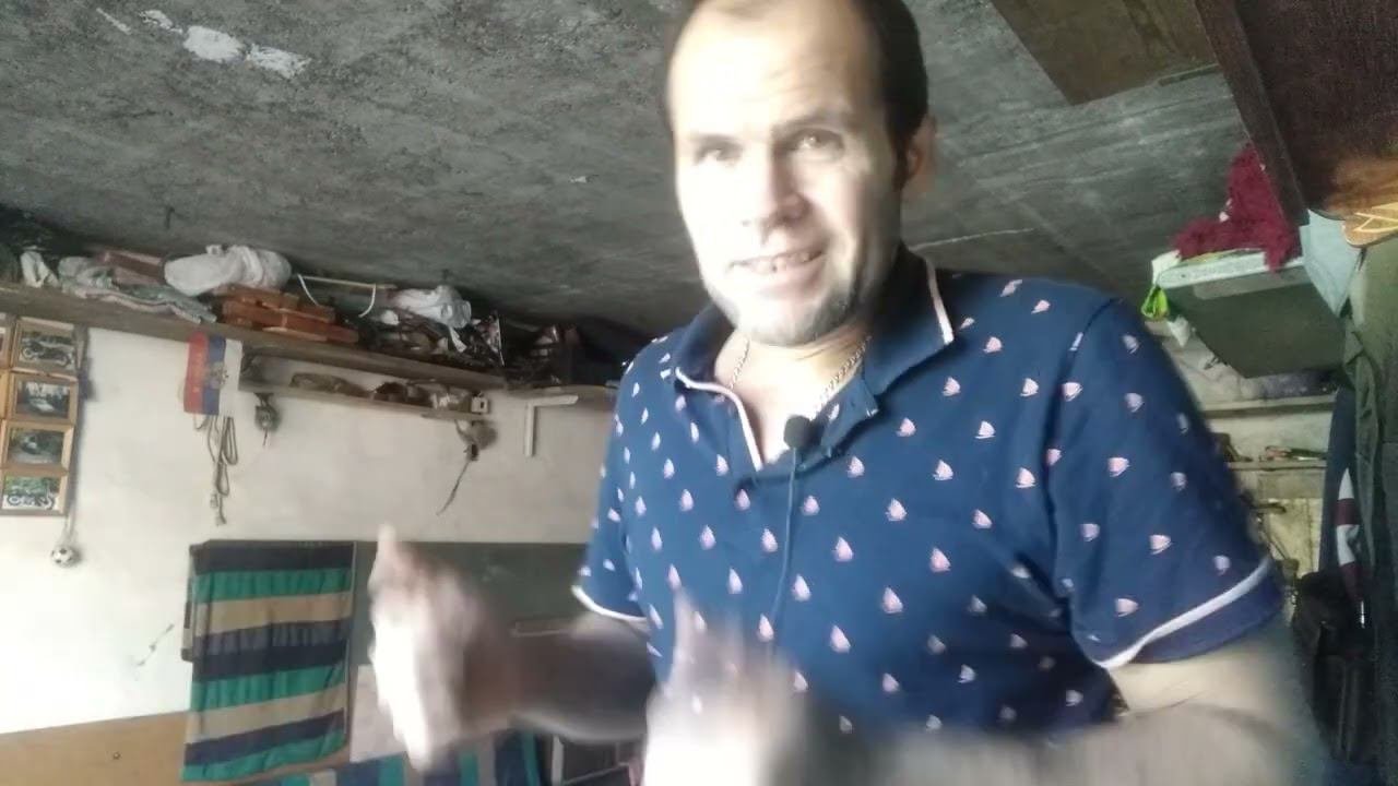 Небольшое продолжение...