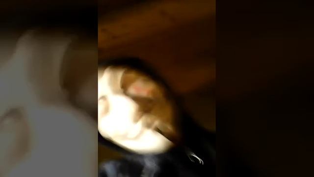 Поползали в заброшенном складе сена чуть не упал потолок смотреть онлайн