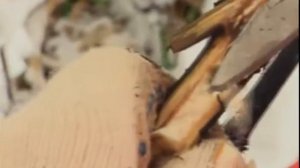 Следопыт с Глебом Данильцевым осенняя наживка