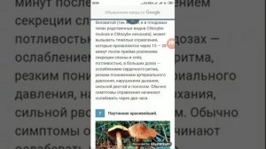 10 самых ядовитых грибов в мире