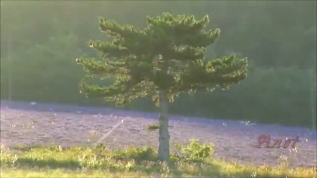 Остров моей души-Сергей Грищук смотреть онлайн