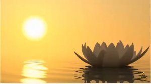 С чего начать САМОРАЗВИТИЕ!