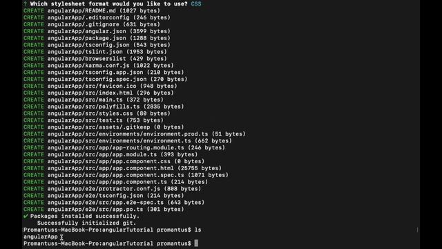 How to install Angular 9, Complete Installation Setup and How to create angular project
