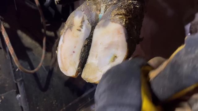 What I Find Underneath Even Surprises Me смотреть онлайн