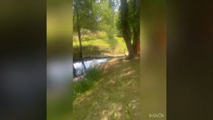 Обзор Святых Источников России. Рязанская область, близ г. Касимов. Святой Источник пророка Ильи