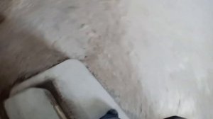 2019 год 3 мая. Тульская область , деревня Фёдоровка.