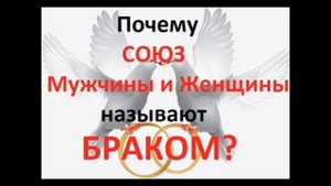 ПОЧЕМУ СОЮЗ МУЖЧИНЫ И ЖЕНЩИНЫ НАЗЫВАЮТ БРАКОМ? Радеев Владимир(муже)