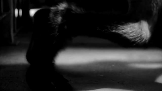 БТС ОБОРОТНИ (TEASER) смотреть онлайн