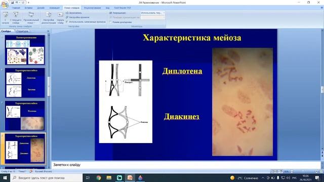 Слесарев СМ Лекция 4 Размножение 26.10.2021