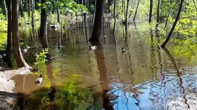 Красногорск. Губайловский экопарк В гости к хоббитам.