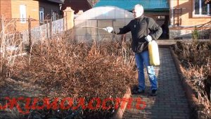 "Фармайод" на садовом участке